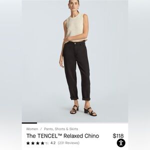 Everlane Relaxed Tencel Chino
